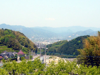 敷地より