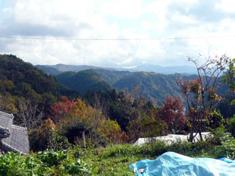 畑からの景観