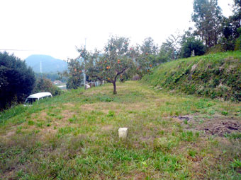 果樹園