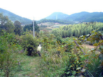 果樹園