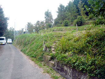 果樹園