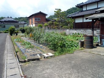 84坪の畑