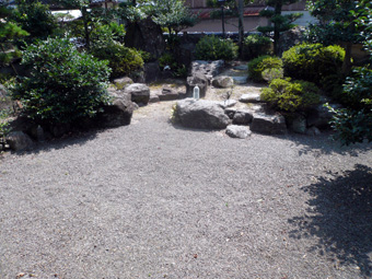 庭