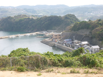 集落